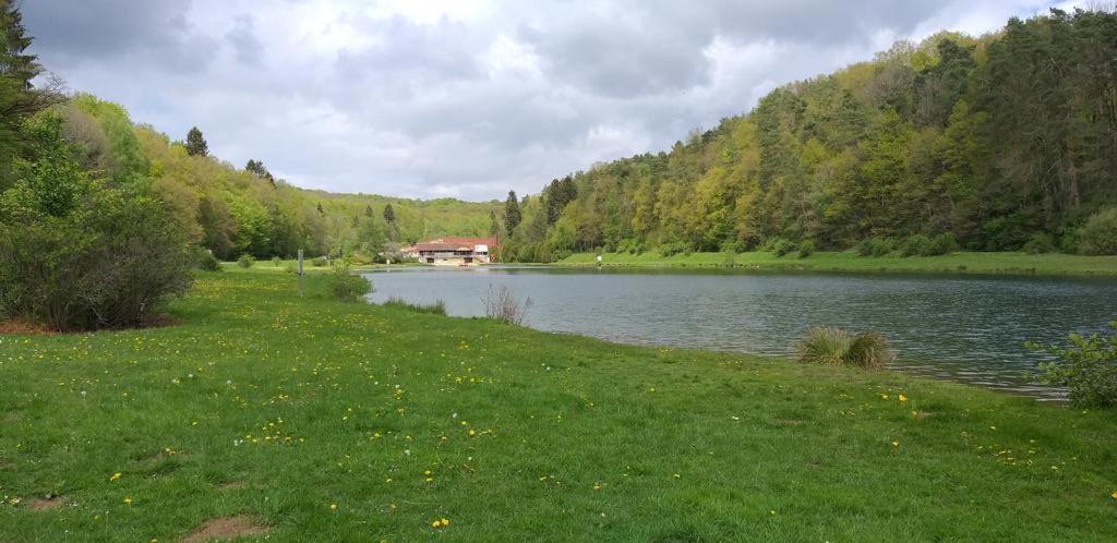 Le Repaire Des Ecureuils Vallee De Rabais Virton Luaran gambar